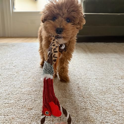 SPOT Skinneeez Tugs Mini Duck Tug Dog Toy – 14" Stuffing-Free Plush Toy with Rope Handle & Squeaker – Durable Tug Toy for Small & Medium Dogs, Moderate Chewers, Assorted Styles - size: 14"