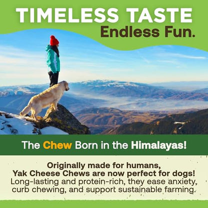 EcoKind Yak Cheese Himalayan Dog Chews, Yak Chews for Small Dogs, Long Lasting Bone for Aggressive Chewers, Only 3 Ingredients, Natural High Protein Treats, No Additives, Lactose Free, Small - 4 Chews