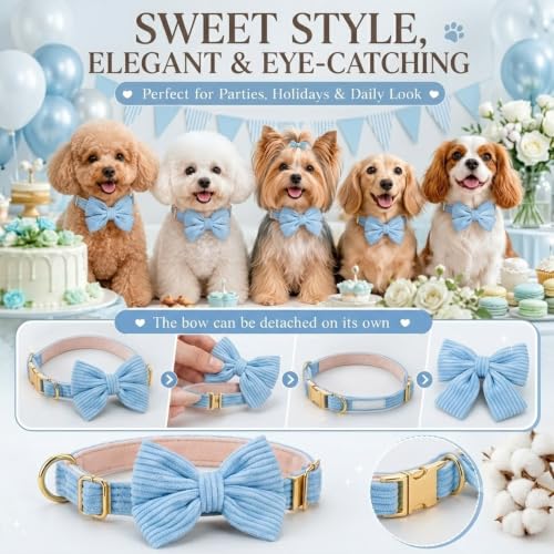 Dog Collar and Leash Set with Bowtie, Soft & Cute Puppy Collar, Cotton Puppy Collar with Adjustable Metal Buckle for Small, Medium Dog (Blue, Size M: Neck 13"-22") - color: Blue, size: M: Neck 13"-22" Leash 5 FT