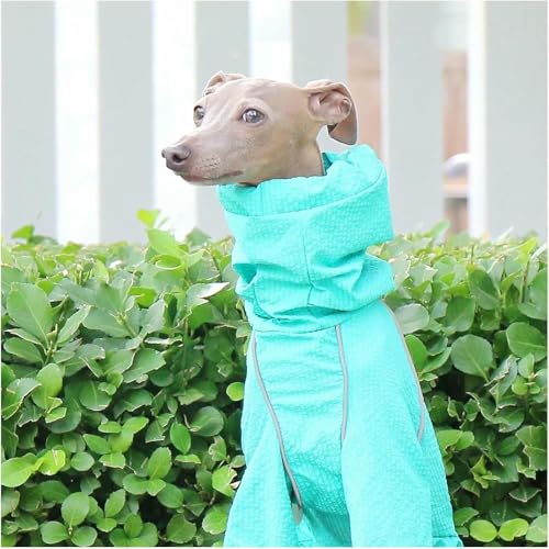Large Dog Rain Jacket Greyhound Windbreaker Raincoat High Collar Adjustable Reflective Pet Clothes Rainproof Quick-Drying Jacket Coats for Whippet Dogs - color: Green, size: XL