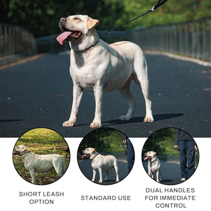 Arblina Slip Leads Dog Leash, 1/3" x4ft Full Reflective No Pull Rope Leash with Double Handle, 360°Swivel Anti-Tangle Heavy Duty Training Lead for Large Medium Small Dogs - color: Black, size: 1/3" x 4FT