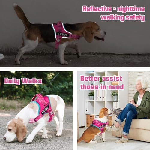 AUROTH Dog Harness and Leash Set, Soft Padded Service Dog Vest with 5.25FT Dog Leash, No Choke, Easy On Pet Vest, Adjustable Reflective No Pull Dog Harness for Large Dogs, Easy Walking and Training - color: Rose Red, size: Large