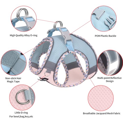 AIITLE Teacup Puppy Harness with Leash - Adjustable Soft Vest with Magic Tape & Reflective Safety Strips, Easy-Put-On for Poodles, Pomeranians - Gym, Hiking, Travel (Blue-Pink, S) - color: Blue-Pink, size: S(Chest: 13.5 - 15")