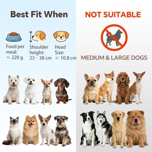 Small Glass Tilted Elevated Cat Dog Bowl Raised Cat Food Water Bowl Dish Pet Comfort Feeding Bowls with Gold Iron Stand - color: Glass, size: Small