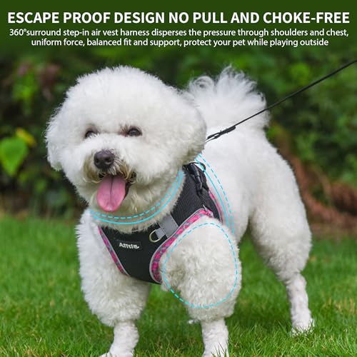 AIITLE Teacup Puppy Harness with Leash - Adjustable Soft Vest with Magic Tape & Reflective Safety Strips, Easy-Put-On for Poodles, Pomeranians - Gym, Hiking, Travel (Black, S) - color: Black, size: S(Chest: 13.5 - 15")