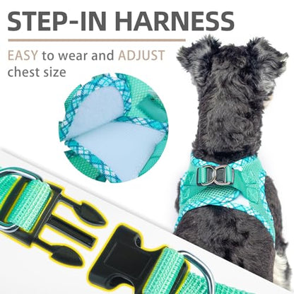 PUPTECK Dog Harness and Leash Set for Small Medium Dogs No Pull Step-in Soft Mesh Puppy Cat Vest Harnesses Reflective at Night, Green L - color: #1 Green(Basic Mesh), size: L(CHEST 18"-20", 16.5-22 lbs)
