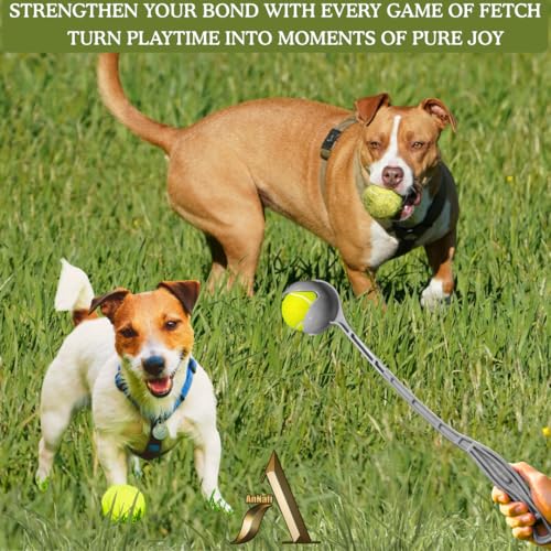 AnNafi Speed Arm Cricket Practice Launcher & Ball Pickup | Dog Thrower | Fetch & Fold Set | Cricket Equipment (With Tennis Ball, White) - color: White, size: With Tennis Ball