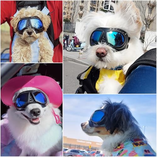 Namsan Dog Goggles Small Breed, Wide Snout & Soft Frame, Tactical Driving Sunglasses for Dogs Small to Medium Breed, Anti-UV Dog Eye Protection, Windproof Dustproof, Adjustable, Blue Lens - color: (Small)Blue Lens