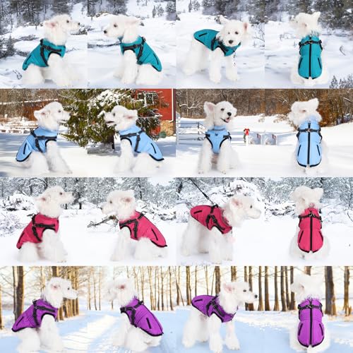 Gyuzh Dog Coat with Harness,Dog Winter Coat Jackets,Winter Waterproof Dog Coat Warm Cold Weather Dog Coat with Harness Built in for Small Medium Large Dogs - color: blue, size: X-Large