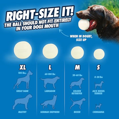 Chuckit! Glow in the Dark Bouncy Ball for Dogs, Chuckit Dog Toy, Max Glow Balls - Large, 3 Inch, Pack of 1 - size: Large