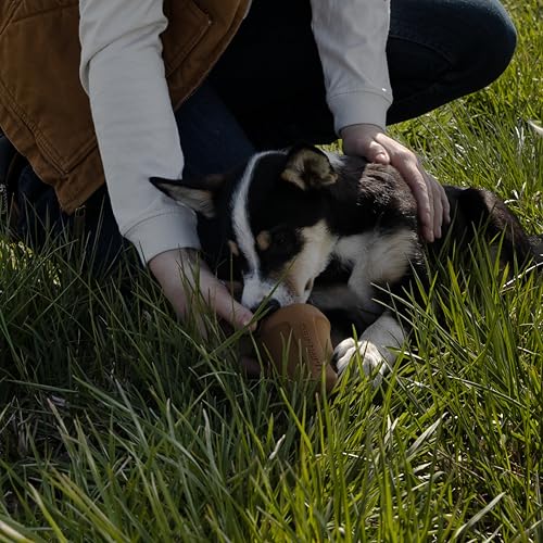 Carhartt Pet Training Tools, Rugged Dog Tool for Tug, Fetch and Play, Field Dog Training Pull (Blaze) - color: Field Dog Training Pull (Blaze)