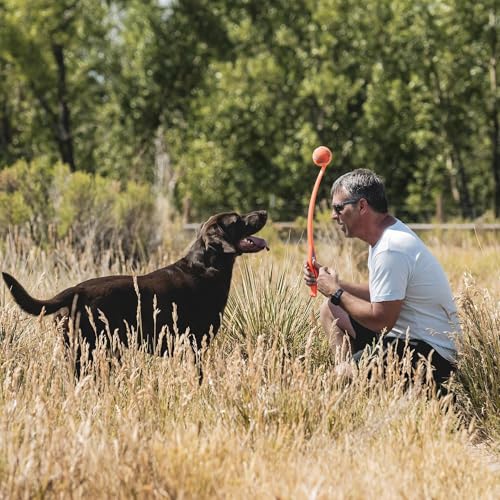 Chuckit! Sport 26L Dog Ball Launcher - Includes a 3-inch Diameter Large Ball for Dogs 60-100 Pounds - Manual Thrower for Dog Balls With a Slim Ergonomic Handle - 26-inch Length - size: Large, style: Sport