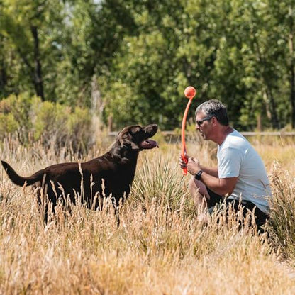 Chuckit! Sport 26L Dog Ball Launcher - Includes a 3-inch Diameter Large Ball for Dogs 60-100 Pounds - Manual Thrower for Dog Balls With a Slim Ergonomic Handle - 26-inch Length - size: Large, style: Sport