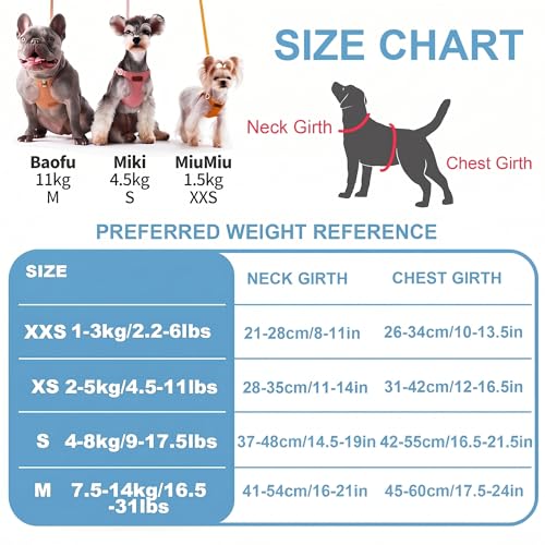 Puppytie xs Dog Harness with Multifunction Dog Leash,Soft Adjustable No Choke Escape Proof Pet Harness Vest,Ocean Blue,XS - color: Ocean Blue, size: XS(4.5-11lb）