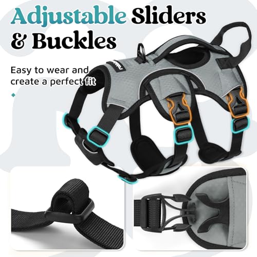 rabbitgoo Escape Proof Dog Harness, Soft Padded Full Body Pet Harness, Reflective Adjustable No Pull Vest with Lift Handle and Leash Clip for Large Dogs Walking Hiking Training, S, Grey - color: Grey, size: Small (Pack of 1)
