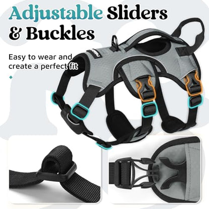 rabbitgoo Escape Proof Dog Harness, Soft Padded Full Body Pet Harness, Reflective Adjustable No Pull Vest with Lift Handle and Leash Clip for Large Dogs Walking Hiking Training, S, Grey - color: Grey, size: Small (Pack of 1)