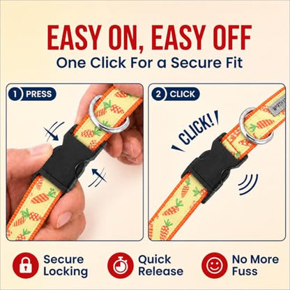 THE WORTHY DOG Spring Holiday Crazy Carrots Dog Collar – Durable Nylon, Woven Ribbon, Quick-Release Buckle, Nickel D-Ring – Green, Medium - color: Crazy Carrots - Green, size: Medium
