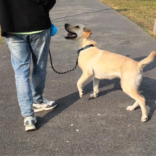 ZALER Rope Dog Leash, 4/5/6/10/15/20/30/50 Foot Heavy Duty Dog Leashes with Carabiner, Nylon Pet Lead for Large and Medium Dogs (4FT, Black Purple) - color: Black Purple, size: 4FT*1/2"