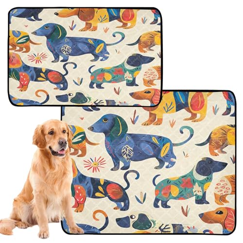 Qilmy Dogs Pet Mat, Waterproof Reusable Dog Training Pad Anti-Slip Pet Creat Pad for Small Medium Large Dogs and Cats