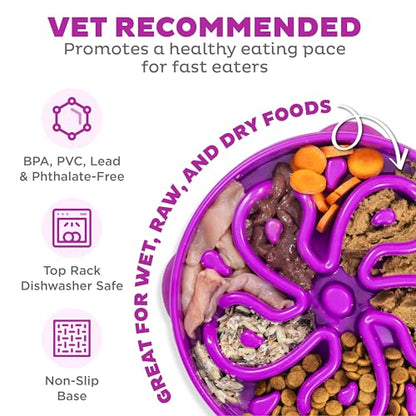 Outward Hound Fun Feeder Slo Bowl – Large 4‑Cup Capacity, Slow Feeding, Medium to Large Dogs, Non‑Slip, Purple, Flower Pattern - color: Purple, size: Large
