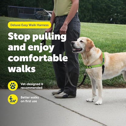 PetSafe Easy Walk Deluxe Dog Harness, No Pull Dog Harness Perfect for Leash & Harness Training Stops Pets from Pulling and Choking on Walks Medium/Large, Apple - color: Apple Green, size: Medium/Large