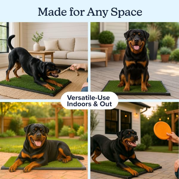 Artificial Grass Puppy Pee Pad for Dogs and Small Pets - 41X27 Inch, Reusable 4-Layer Turf Pads for Dogs with Tray - Indoor and Outdoor Fake Grass Potty Pet Supplies by PETMAKER - size: XXL 4-Layer System