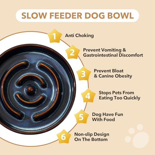 Havniva 1.2 Cup Elevated Slow Feeder Dog Bowls, 7.3” Ceramic Dog Slow Feeding Bowls with Acacia Wood Stand, Raised Dog Food Bowl Puzzle Slow Feeder for Small Dogs/Fast Eater, Non-Slip & Anti-Choking - color: 1 x Starry Sky + Stand - A, size: M- 7.3inch /
