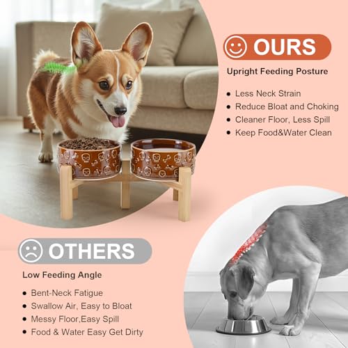 SPUNKYJUNKY Elevated Dog Bowls Ceramic, 6.1'' Dogs and Cat Food Water Bowls Raised with Non-Slip Bamboo Stand for Medium Sized Breed Microwave Dishwasher Safe - 28.7 OZ,Skull Bronze - color: Bronze - Skull, size: 6.1 in - 3.6 cups