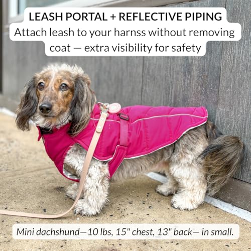 DJANGO Insulated Puffer Dog Jacket with Harness Hole – Warm, Water-Repellent Winter Dog Coat Large Dogs – Adjustable, Reflective Cold Weather Dog Apparel for Fall, Snow, Rain – Hibiscus Pink, Large - color: Hibiscus Pink, size: Large