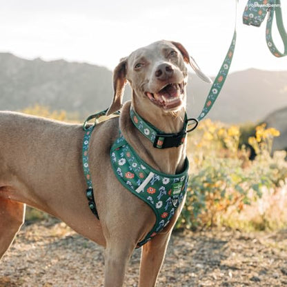 Lucy & Co. x Parks Project Power to the Parks No-Pull Dog Harness, Adjustable Front Clip Harness with Comfort Padding, X-Large - color: Power to the Parks, size: X-Large
