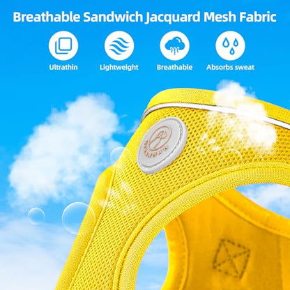 Soft Mesh Dog Harness and Leash Set, No Pull Puppy Harness and Leash Set, Reflective Step in Harness for Small Medium Dogs, Easy Walk Escape Proof Vest Harnesses (Yellow, XXS) - color: Yellow, size: XXS