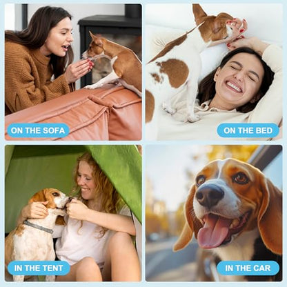 wegreeco Small Dog Diapers Male,Reusable Belly Bands for Male Dogs,Washable Doggie Puppy Male Diapers Wraps,Medium Large Size(5 Pack Small, Dark Geometry) - color: Dark Geometry, size: Small