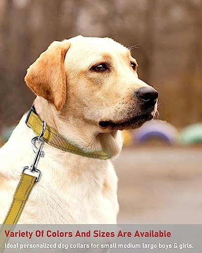 Reflective Dog Collar with Buckle Adjustable Safety Nylon Collars for Small Medium Large Dogs, Brown XL - color: Brown, size: XLarge :Width 1",Neck 16-26"