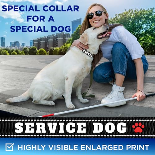 TECEUM Reflective Pet Collar – Black - Service Dog – S – Extra Soft Padding – Basic Nylon Dog Collar – Quick Release Buckle – Fits Small, Medium and Large Dogs, Puppies, Cats - color: Black - Service Dog, size: Small