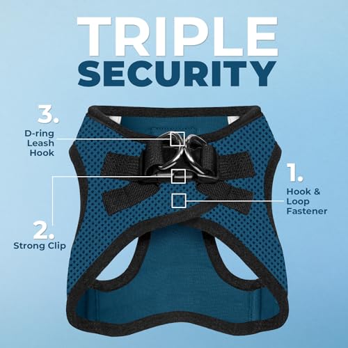 Voyager Step-in Air All Weather Mesh Harness and Reflective Dog 5 ft Leash Combo with Neoprene Handle, for Small, Medium and Large Breed Puppies by Best Pet Supplies - Blue, XX-Small - color: Leash Harness Set (Blue Base), size: XXS (Chest: 11.5 - 13" * F