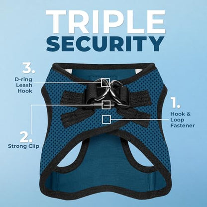 Voyager Step-in Air All Weather Mesh Harness and Reflective Dog 5 ft Leash Combo with Neoprene Handle, for Small, Medium and Large Breed Puppies by Best Pet Supplies - Blue, XX-Small - color: Leash Harness Set (Blue Base), size: XXS (Chest: 11.5 - 13" * F