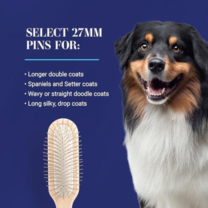 Chris Christensen 27 mm Oblong Pin Dog Brush, Original Series, Groom Like a Professional, Stainless Steel Pins, Lightweight Beech Wood Body, Ground and Polished Tips - size: 27mm