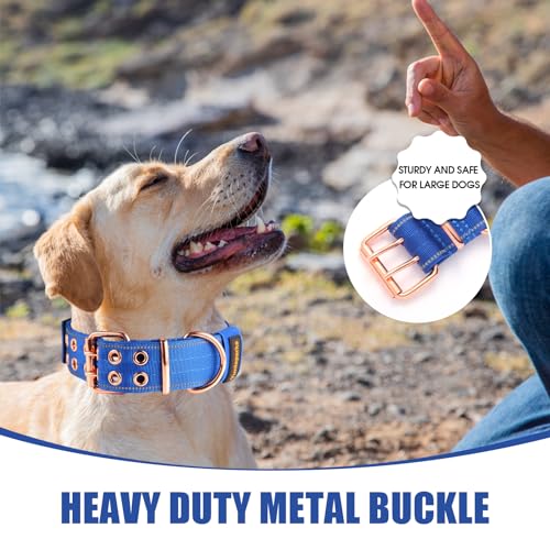 Heavy Duty Tactical Dog Collar with Neoprene Padded and Metal Buckle, Reflective Nylon for Medium to Large Dogs(Blue, Medium) - color: Blue, size: Medium (Pack of 1)