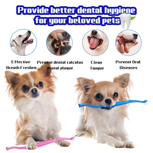 Dual Sided Cat Toothbrush Dog Toothbrush Finger Brush Micro Head, Suitable for Small to Large Dogs & Cats (White, Small) - color: White