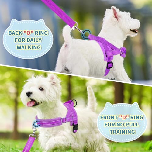 Lukovee No Pull Dog Harness and Leash Set, Soft Padded Small Dog Harness, Neck & Chest Adjustable Reflective Vest Puppy Harness with 4ft Lightweight Anti-Twist Dog Leash for Small Dogs (S, Purple) - color: A-Purple, size: S ( Chest 17.5'' ~ 22'')