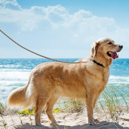 Mile High Life Dog Leash, Rope Leash with Genuine Leather Connection and Heavy Duty Metal Clasp, Great for Small Medium Large Dogs(Black Beige,48 Inch) - color: Rope Handle-Black Beige, size: 48 Inch-1/2"