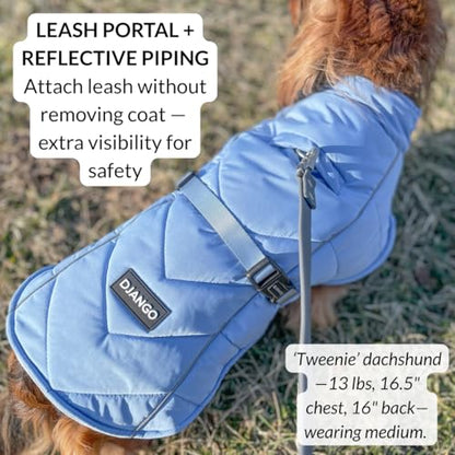DJANGO Insulated Puffer Dog Jacket with Harness Hole – Warm, Water-Repellent Winter Dog Coat for Small Dogs, Dachshunds, Puppies – Adjustable, Reflective Cold Weather Dog Apparel – Dusk Blue, Medium - color: Dusk Blue, size: Medium