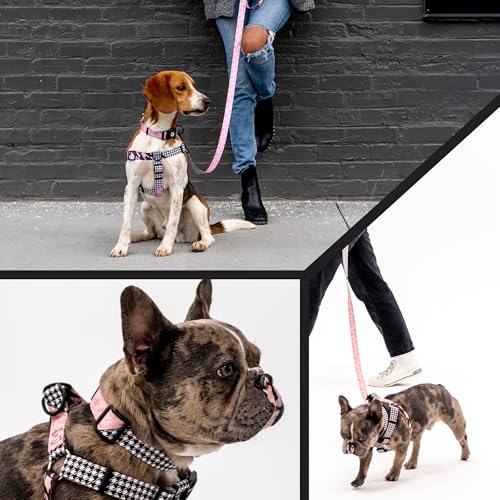 Wolfgang Heavy Duty, Adjustable Dog Collar with Quick Release Nylon Buckle for Walking & Training, HoundsPink Print, Small - color: HoundsPink Print, size: Small (5/8 Inch x 8-12 Inch)