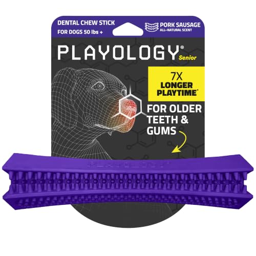 Playology Dog Toys | Dental Chew Stick for Large Senior Dogs | Pork Sausage Scented Jumbo Toy | Dog Chew Toy for Healthy Teeth and Gums - size: Jumbo Chew Stick, style: Pork Sausage