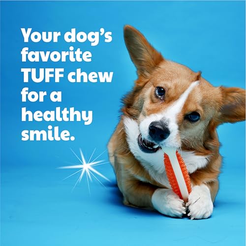 Hartz Chew 'n Clean Tuff Bone Tough Dog Chew Toy, Large 3 Pack - color: Varies, size: Large (Pack of 3)