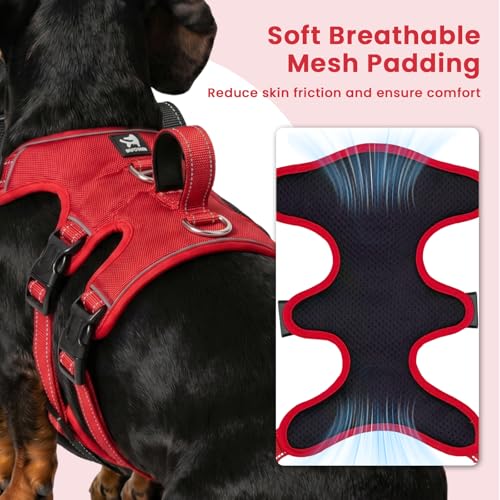 Escape Proof Dog Harness and Leash Set,Soft Padded Full Body Pet Harness, No Pull Reflective Adjustable Dog Vest with Handle, Easy Control Dog Harness for Medium Large Dogs Training Walking Running - color: Red, size: M