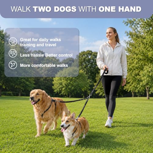 Double Dog Leash for Two Dogs, Complete Set with 31.5" Main Leash + Adjustable Splitter, Padded Handle, D-Ring, 360° Swivel, Shock-Absorbing Bungee, Reflective for Small Medium Large Dogs (Black) - color: Black