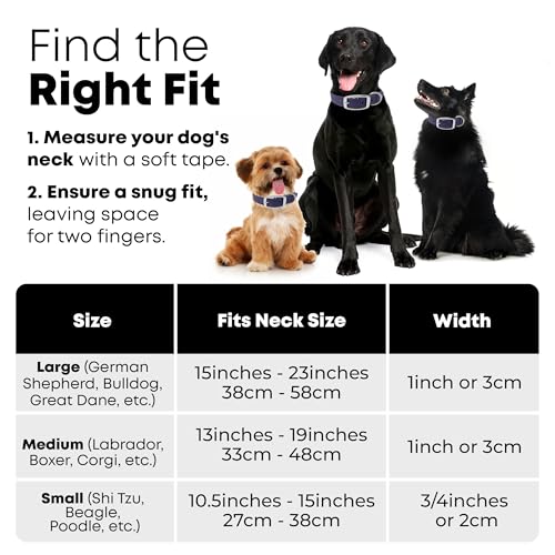 Regal Dog Products Medium Purple Dog Collar with Heavy Duty Double Buckle & D Ring | Vinyl Coated, Custom Fit, Adjustable Biothane Dog Collar | Chew Resistant Waterproof Center-Ring Collar for Dogs - color: Purple, size: Medium