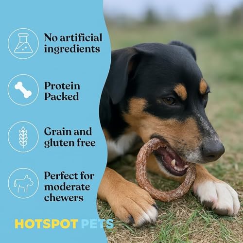 hotspot pets Bully Stick Rings for Dogs (10 Pack) 4 Inch Circles- Premium All Natural Long Lasting Twisted Beef Pizzle Dog Chew Treats - Grain Free, Fully Digestible, Rawhide Alternative Thick Chews