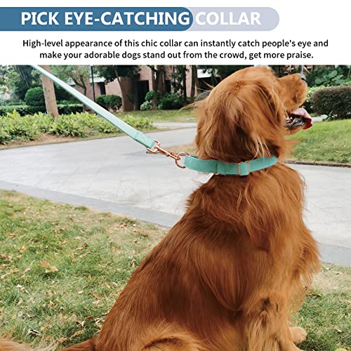 Soft Leather Martingale Dog Collar - Adjustable Rose Gold Limited Slip Collars [Easy to Clean], Stylish Durable Heavy Duty Nylon No Pull Training Collar for Small Medium Large Dogs XS Mint Green - color: Mint Green, size: XS (Neck 8"-11", Width 3/5")